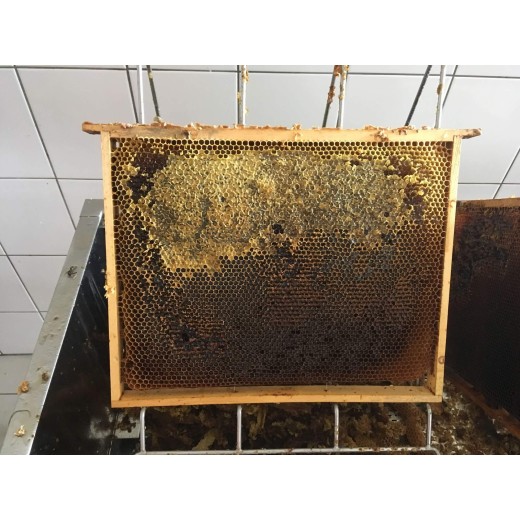 Med lesní - smíšený 1Kg