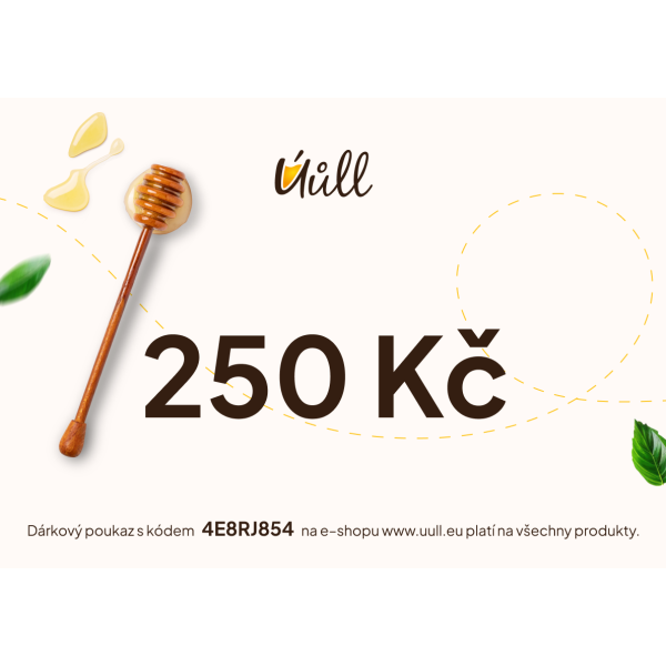 Elektronický dárkový poukaz 250 Kč