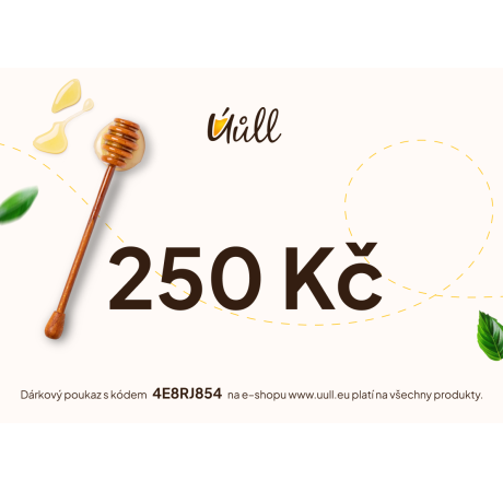 Elektronický dárkový poukaz 250 Kč